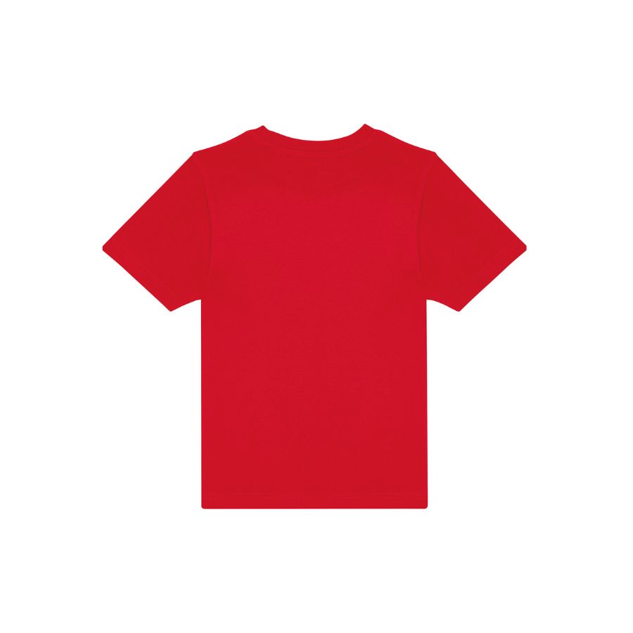 CAMISETA NIÑOS 185GSM PRE-ENCOGIDO | A036.42
