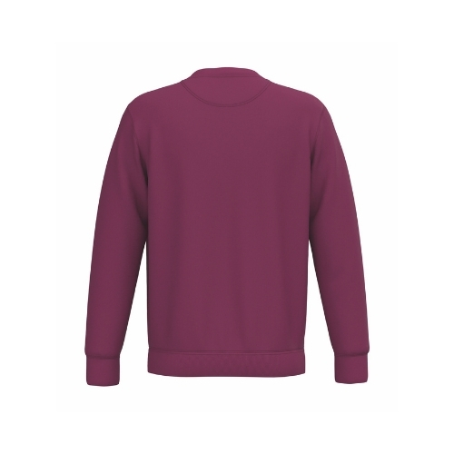 SUDADERA GRAMAJE ALTO 350GSM | NS400