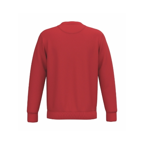 SUDADERA GRAMAJE ALTO 350GSM | NS400