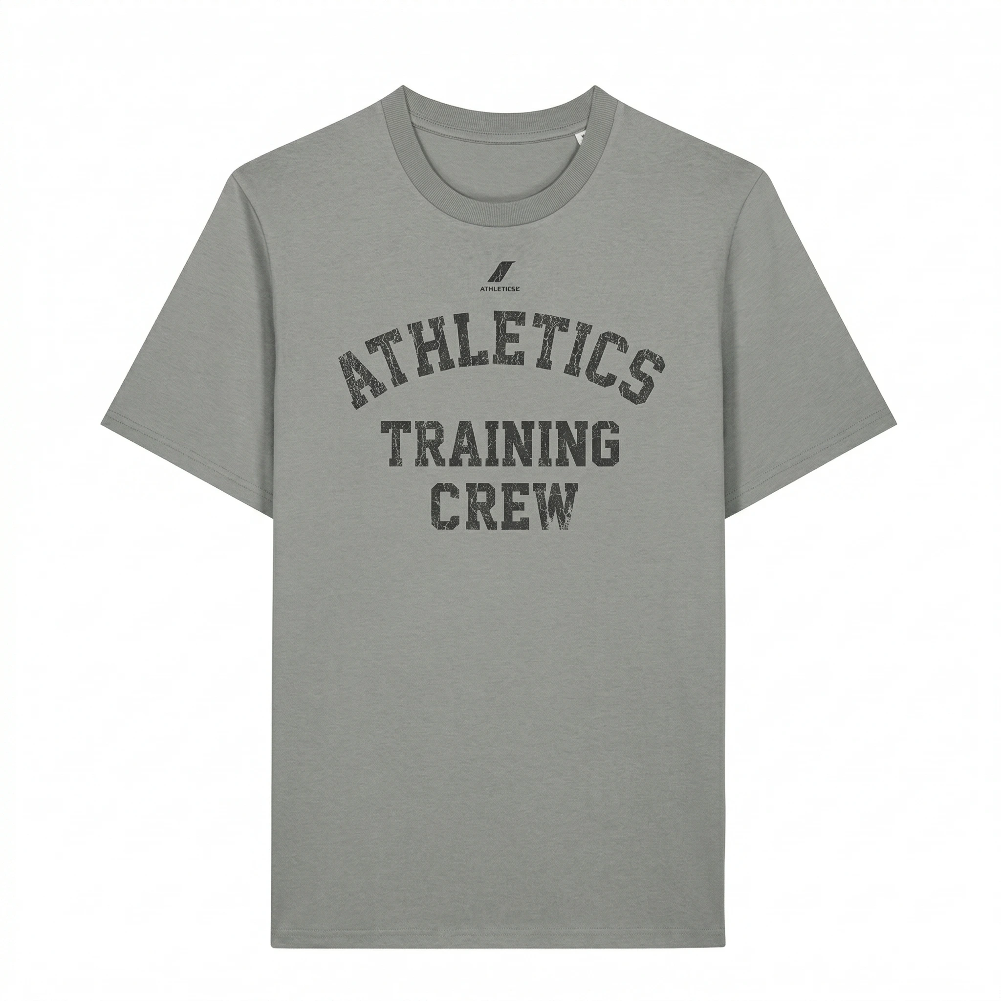 CAMISETA ICÓNIC 190GSM | STTU169