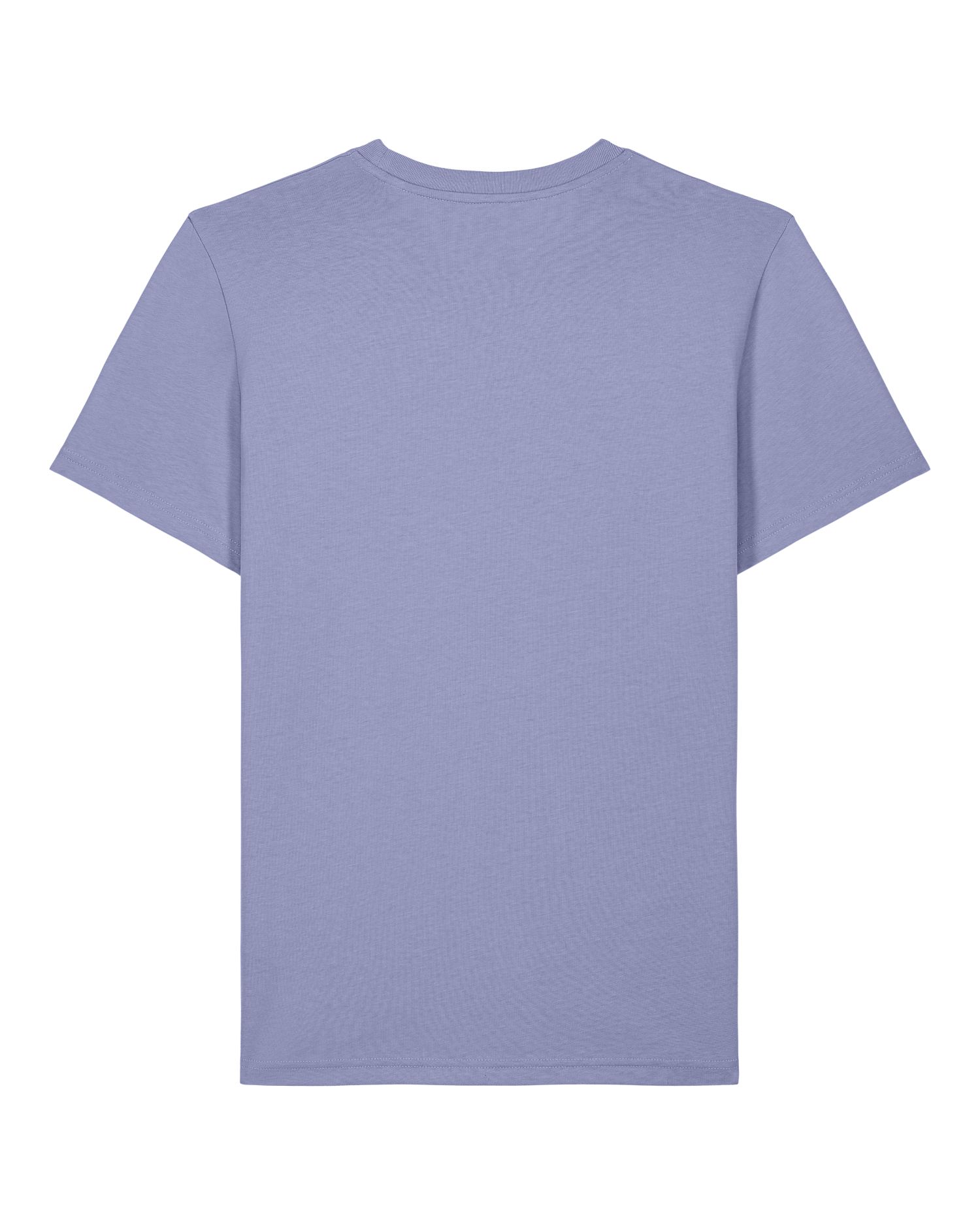 CAMISETA ICÓNIC 155GSM | STTU170