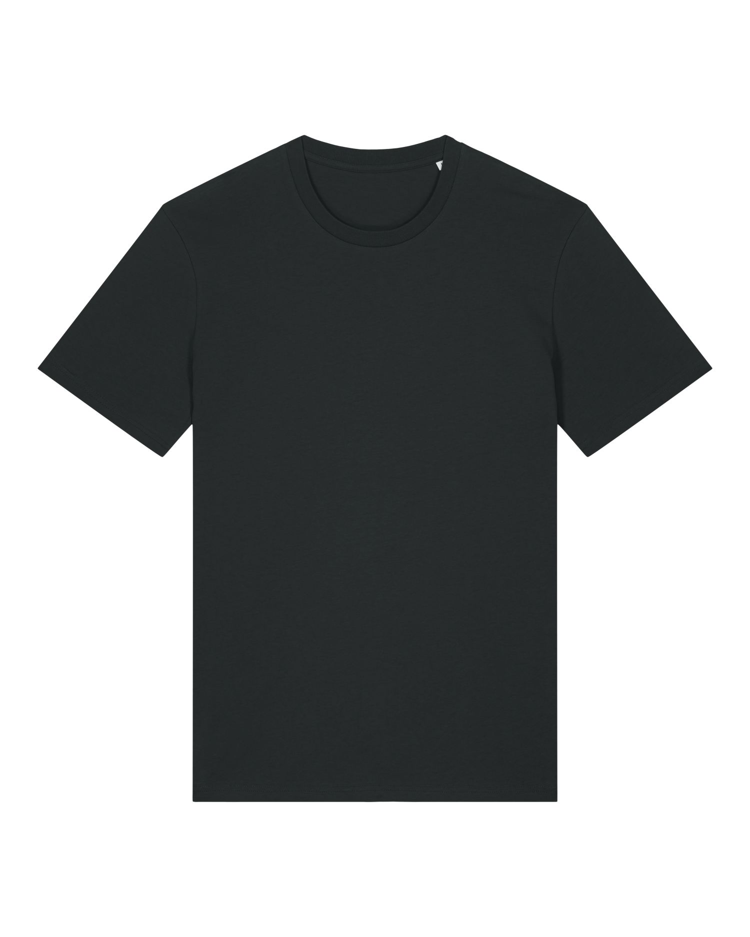 CAMISETA ICÓNIC 155GSM | STTU170