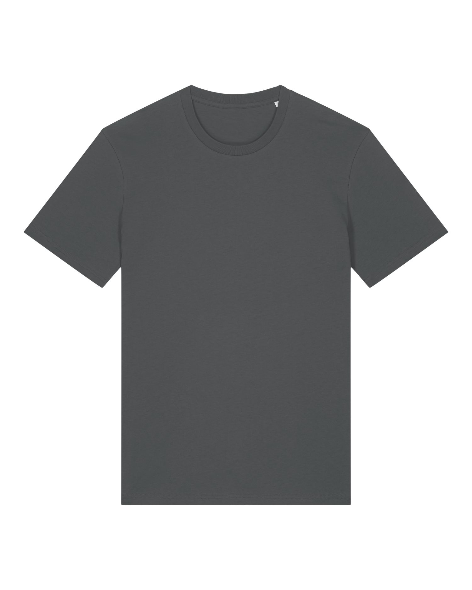 CAMISETA ICÓNIC 155GSM | STTU170