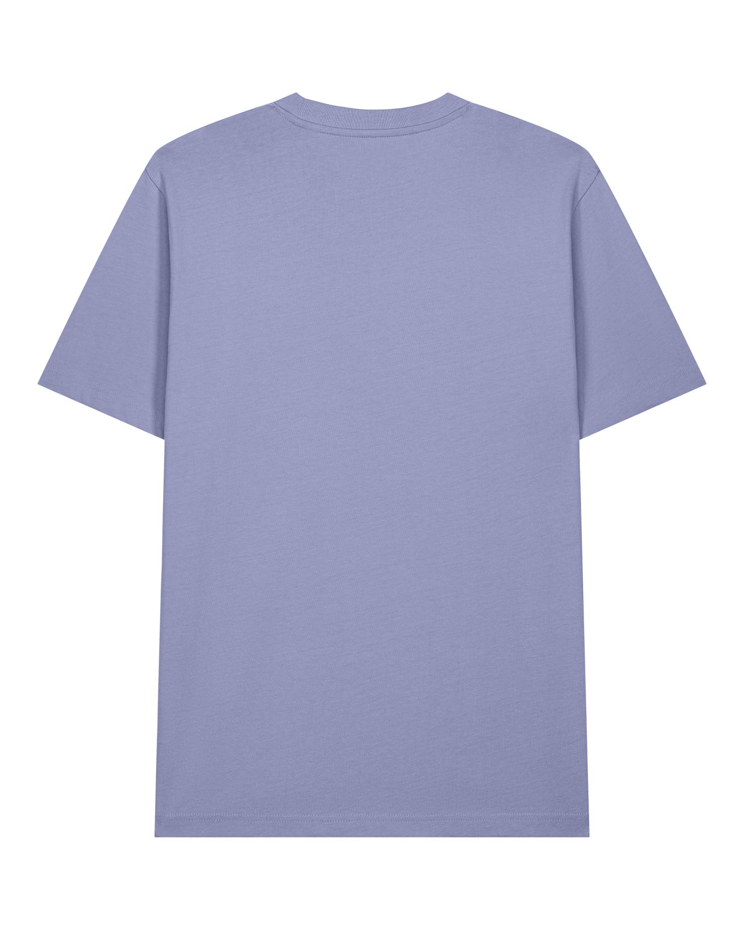 CAMISETA RELAXED 215GSM | STTU171