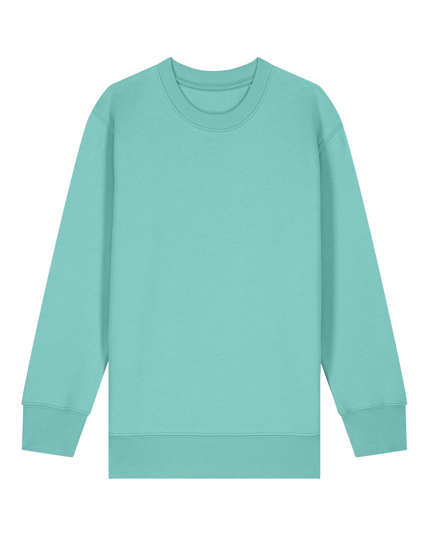 SUDADERA NIÑOS 300GSM | STSK181