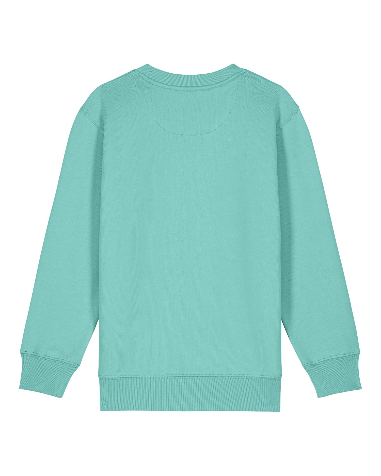 SUDADERA NIÑOS 300GSM | STSK181