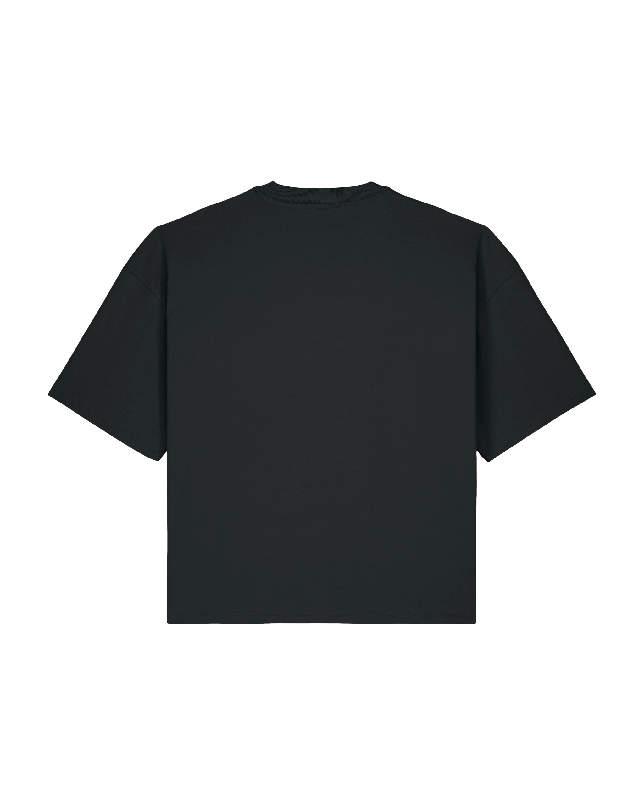 CAMISETA BOXY 200GSM | STTU258