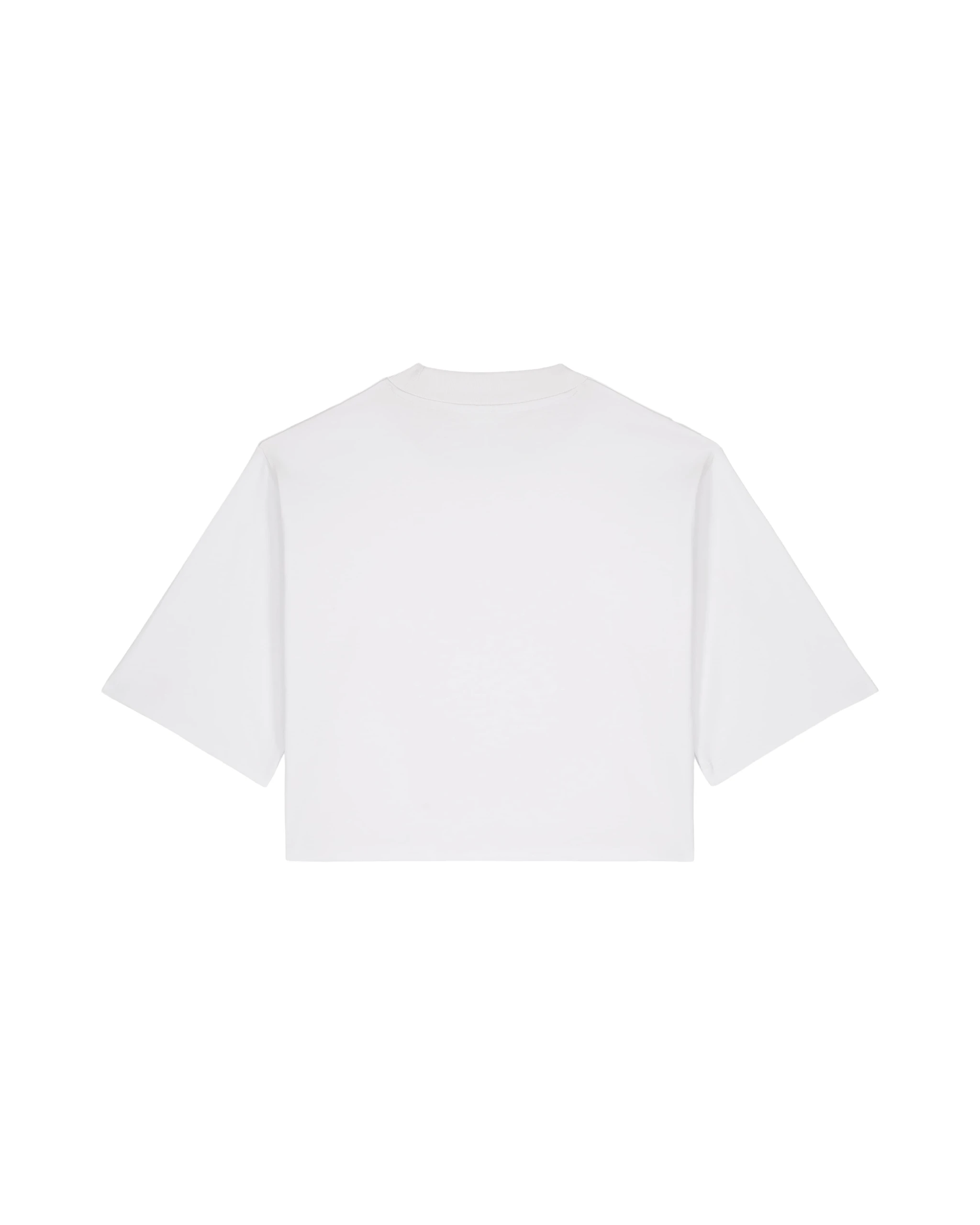 CAMISETA CROP 200GSM | STTW259