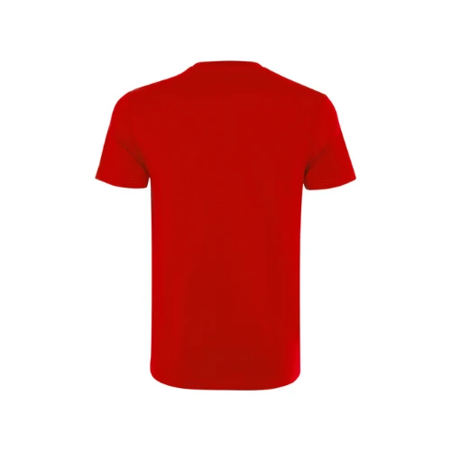 CAMISETA LAVABLE 60GRADOS 180GSM | R9327
