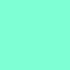 SUDADERA CON CAPUCHA 350GSM | NS401 - Aquamarine