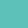 CAMISETA CLÁSICA ORGÁNICA 145GSM | BIO150 - Azul Turquesa