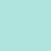 SUDADERA CON CAPUCHA 350GSM | NS401 - Light Turquoise