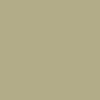 CAMISETA CLÁSICA ORGÁNICA 145GSM | BIO150 - Sage